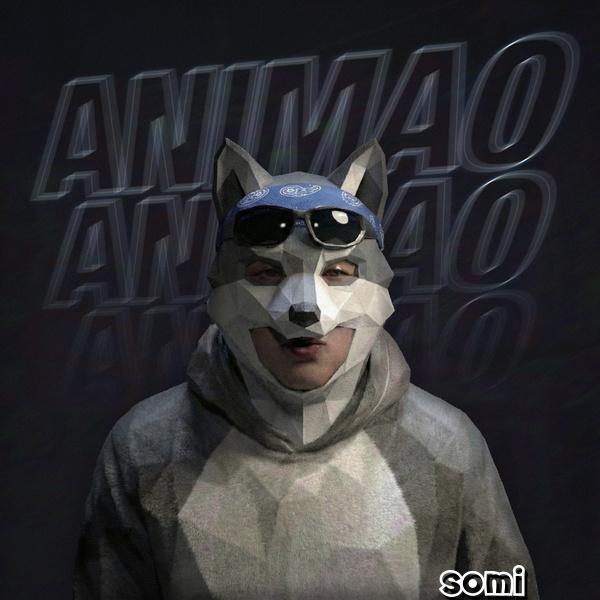 Image Cover